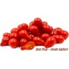 Semillas De Tomate Cherry Rojo Pera