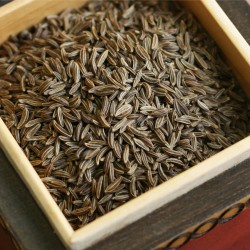 Caraway spice - whole fruit