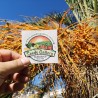 Semillas de Palmera Canaria o Palma Canaria | 2,75 €