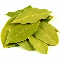 Bay leaf from Greece - Spice