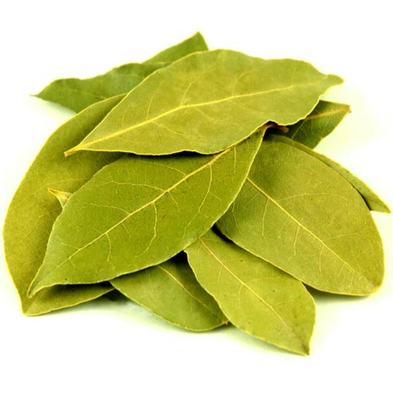 Easy Homemade Methods for Drying Bay Leaves 2024 AtOnce