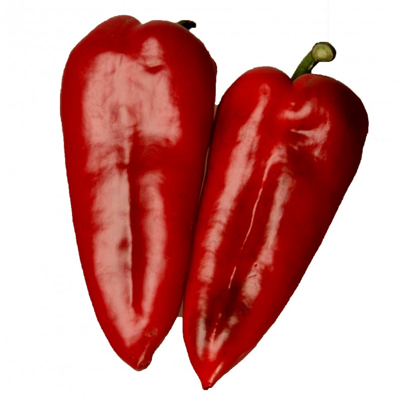 Red Horn Pepper Seeds (Crvena Roga)