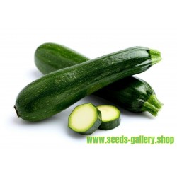 All Green Bush Courgette Seeds