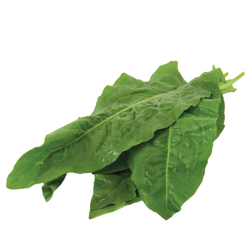 Price: €2.45 - Semillas hierba de la paciencia (Rumex patientia) -  - 3