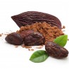 Semillas El árbol de cacao (Theobroma cacao)