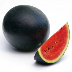 Schwarze Wassermelone super...