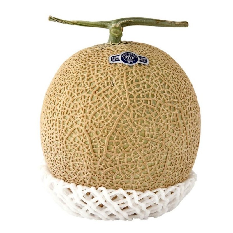 Semillas de melón Shizuoka Crown