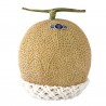 Nasiona Shizuoka Crown Melon