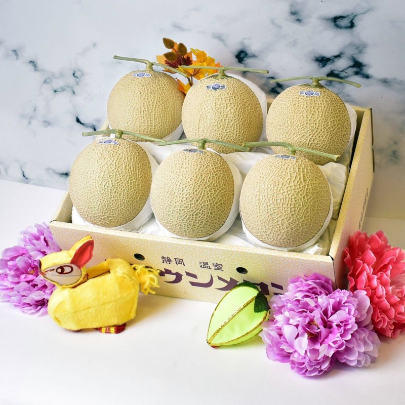 Semințele de pepene Shizuoka Crown | 7,45 €