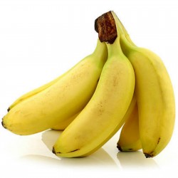 Ostindische Banane Samen...