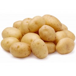 Kartoffelsamen Gourmet