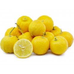 بذور الليمون الحلوة...