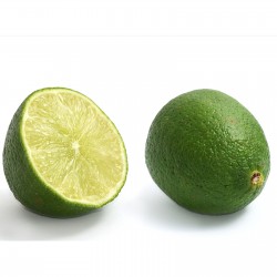 Key limonki nasiona (Citrus...