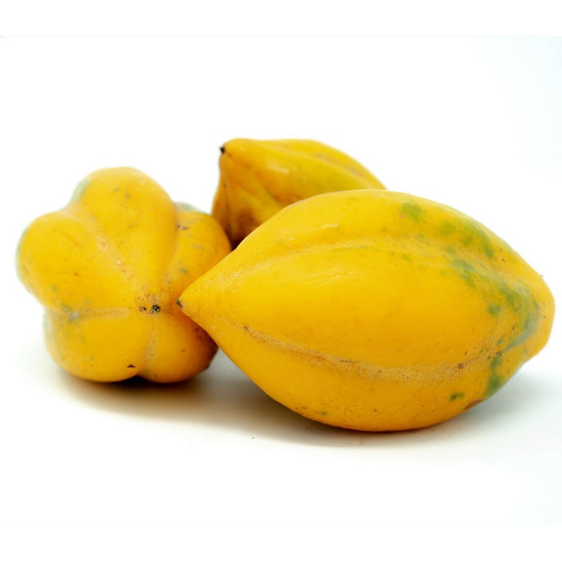 Mountain Papaya Seeds (Carica Pubescens) Pacchetto Di 4 Semi - Palm Beach Seed Company - Italia - Foto 3