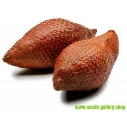 Σπόροι Snake Fruit (Salacca zalacca)
