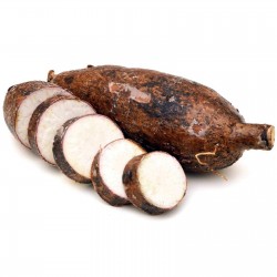 Cassava, Yuca (Manihot...