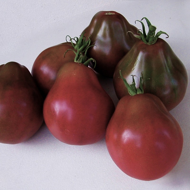 Semillas De Tomate Trufa Negro | 1,85 €