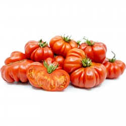 Semillas de tomate...