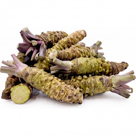 Sementes de Wasabi (Wasabia japonica) | 7,50 €