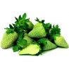 Graines De Fraise Verte - Allure exotique | 4,50 €