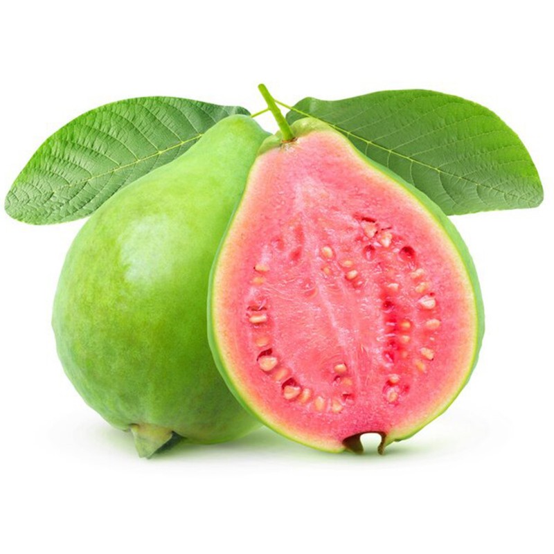 Common guava Seeds (Psidium guajava) | €3.00