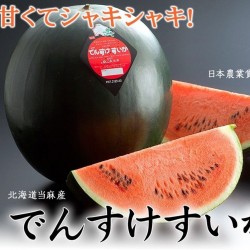 Densuke Japan Vattenmelon frön