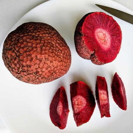 Sementes de Pêssego Africano (Nauclea latifolia) | 2,15 €