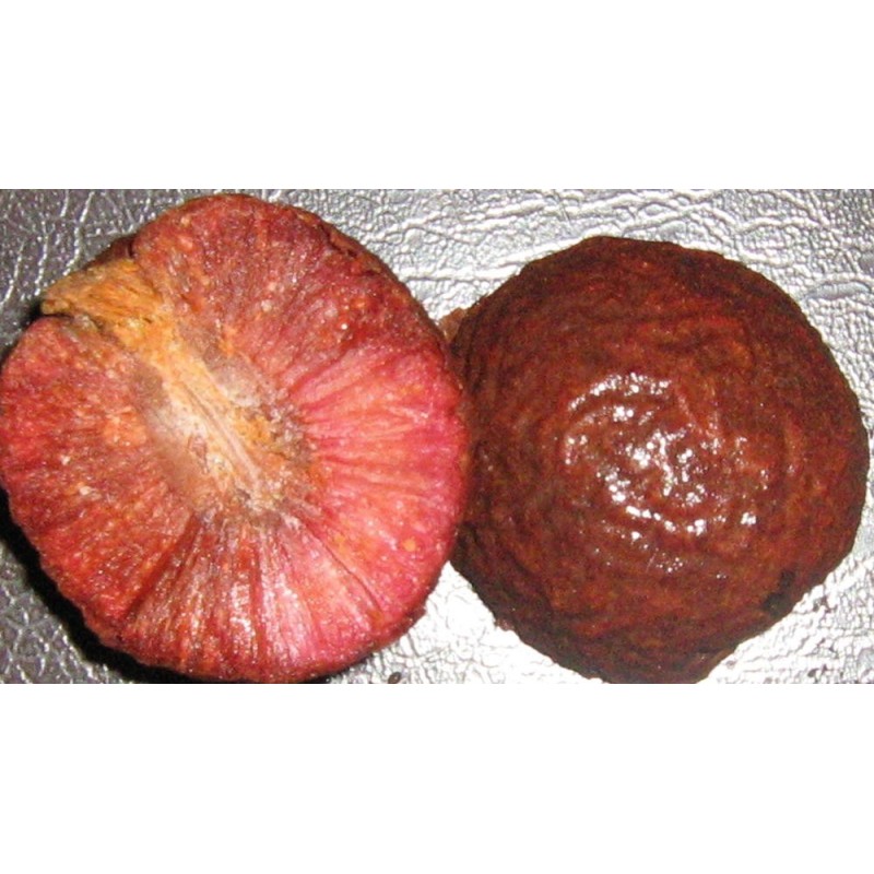 African Peach Seeds (Nauclea latifolia) | €2.15