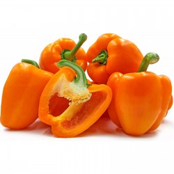 Organique légume poivron Orange Sun 400 graines en vrac