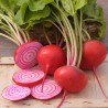 Exotic Beetroot Seeds - Chioggia | 1.55 €