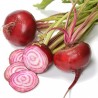 Exotic Beetroot Seeds - Chioggia | 1.55 €