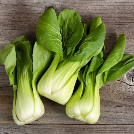 Paksoi of pak-choi zaden | € 1,65