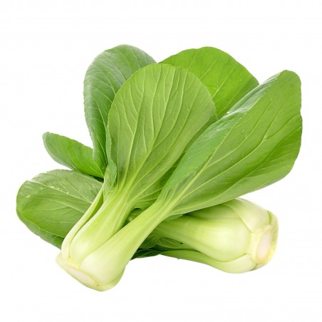 Paksoi of pak-choi zaden | € 1,65