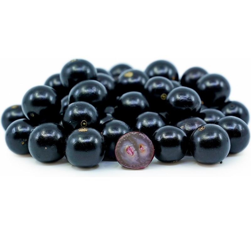 Semi di Jabuticaba frutta (Myrciaria cauliflora) | 6,50 €