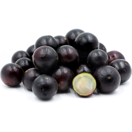 Σπόρος Jabuticaba (Myrciaria cauliflora) | 6,50 €
