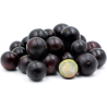 Jaboticaba - Brasilianische Traube Samen (Myrciaria cauliflora) | 6,50 €
