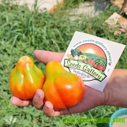 Семена томатного короля...