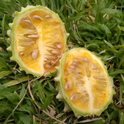 African Melon Seeds...
