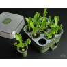 Kit de Germinación Autorriego con Sistema Modular de CultivoKit de Germinación Autorriego con Sistema Modular de Cultivo | 40,00 €