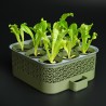 Kit de Germinación Autorriego con Sistema Modular de CultivoKit de Germinación Autorriego con Sistema Modular de Cultivo | 40,00 €