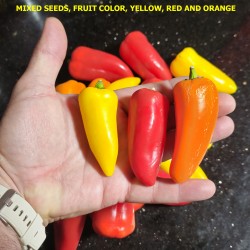 Price: €2 - Joker Mini Sweet Snacking Pepper Seeds