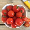 Semena cherry rajčat Harmony | 2,00 €