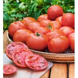 Price: €2 - Heinz 1370 Tomato Seeds