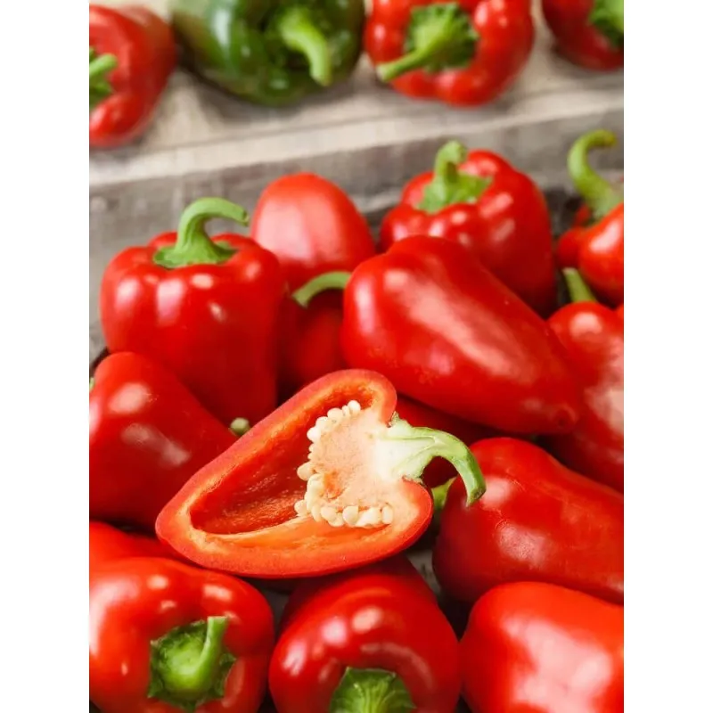 Montana Seme slatke paprike