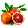 Graines de Orange sanguine “MORO” | 3,00 €
