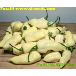 "Fatalii White" Chili Seeds