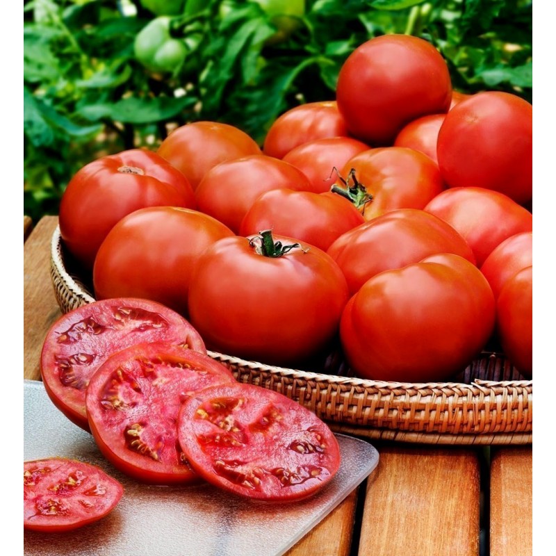 Heinz 1350 Tomato Seeds | 1,65 €