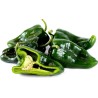 Ancho Mulato Poblano Chili Seeds