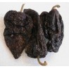 Ancho Mulato Poblano Chili Seeds