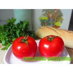Σπόροι ντομάτας Marglobe